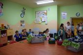 Miniatura zdjęcia: Foto.5