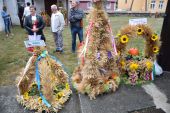 Miniatura zdjęcia: Foto.4
