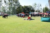 Miniatura zdjęcia: Foto.43