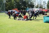 Miniatura zdjęcia: Foto.44
