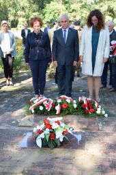 Miniatura zdjęcia: Foto.11