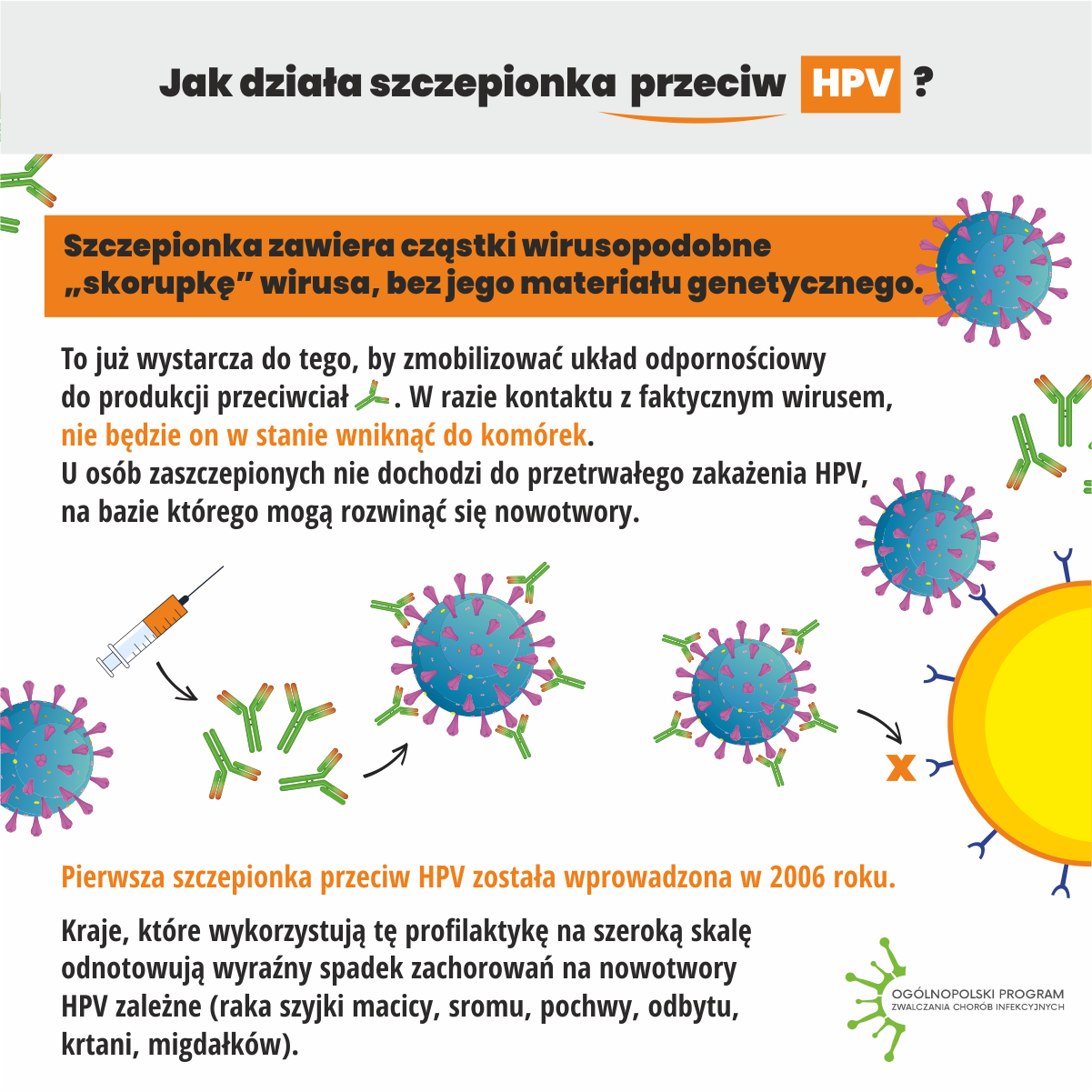 Miniatura zdjęcia: Foto.6